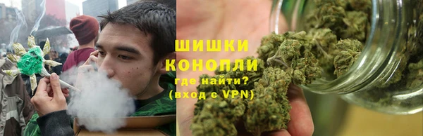 дмт Иннополис