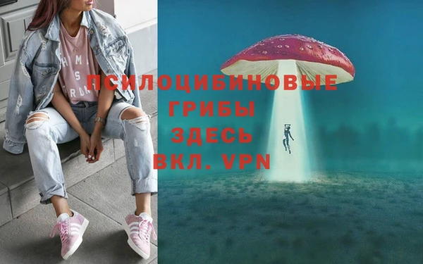 бошки Алзамай