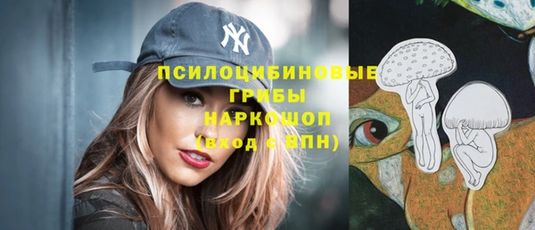эйфоретик Алексин
