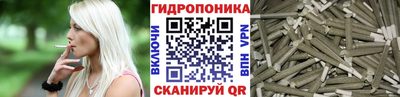 Канабис планчик Краснообск